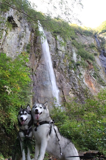 b0207615_13590639.jpg