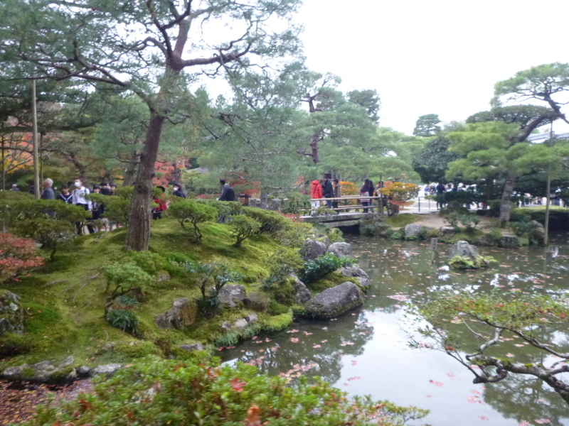 d0170615_18585100.jpg
