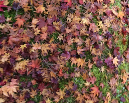 f0213915_183441.jpg