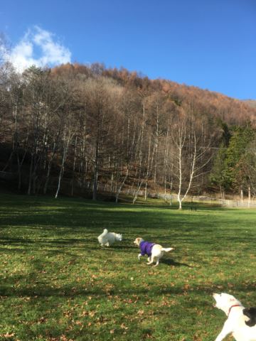 c0114121_23172686.jpg
