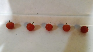 f0151628_21403394.jpg