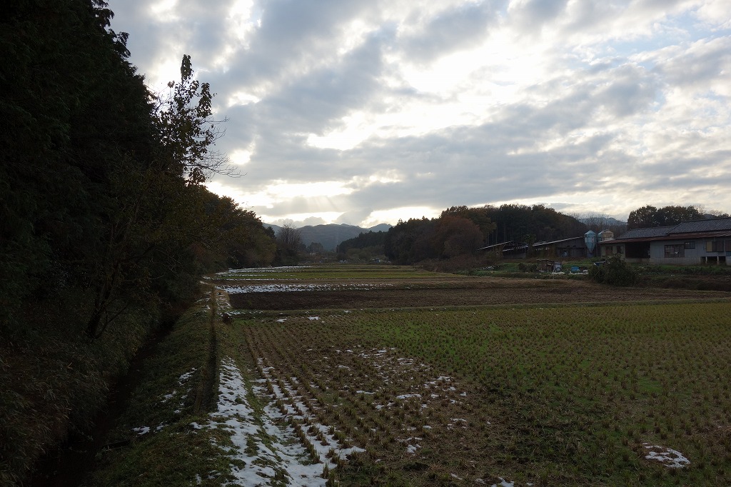 a0138134_21175285.jpg