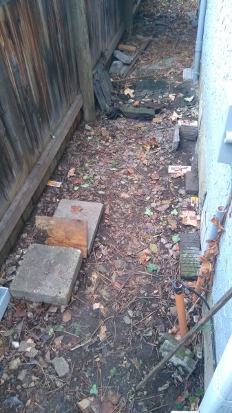 c0077835_04283343.jpg