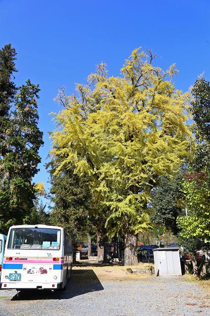a0242438_20292336.jpg
