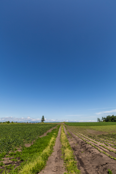 b0369141_16370469.jpg