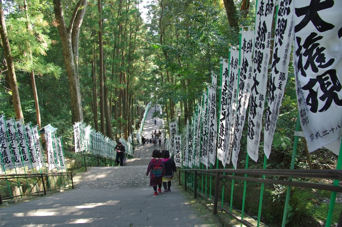 c0281841_11443997.jpg