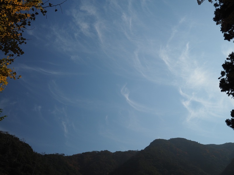 f0169147_20145510.jpg