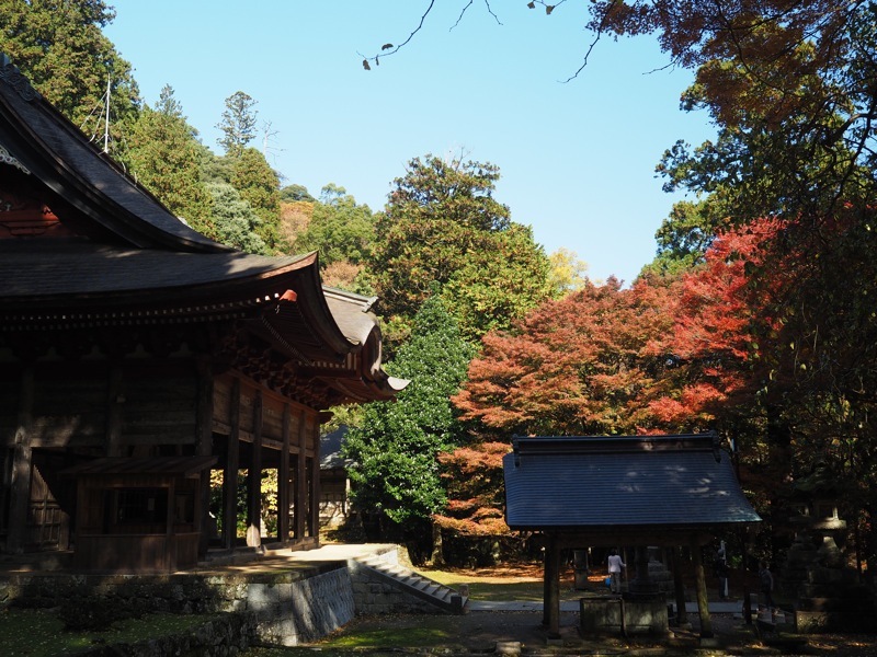 f0169147_20145567.jpg