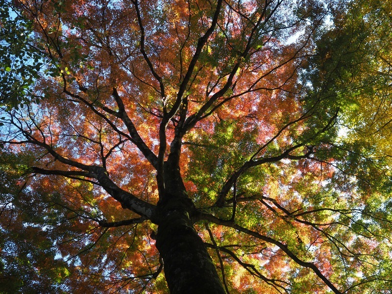 f0169147_20183067.jpg