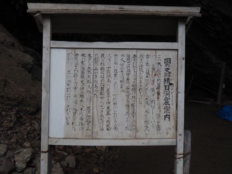 f0169147_20225034.jpg