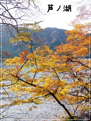 d0013149_01001936.jpg