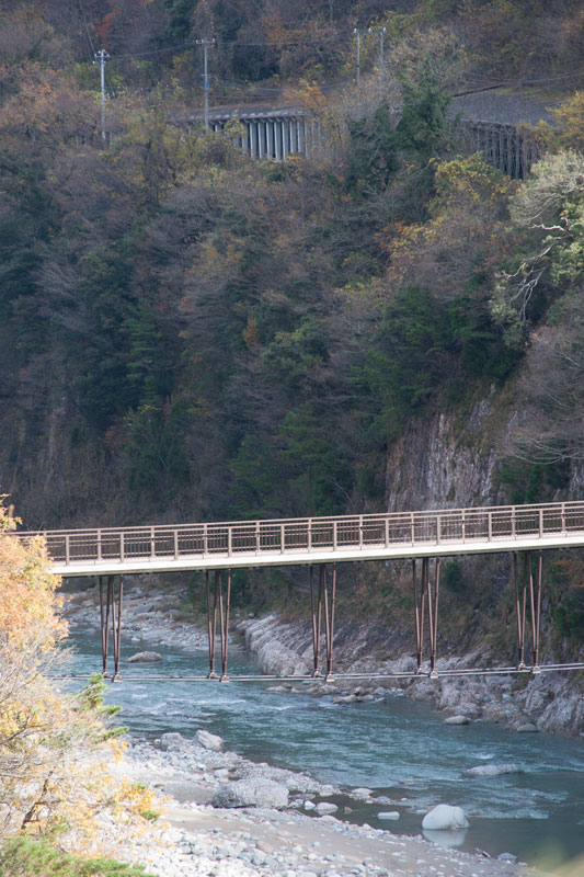 d0342652_2051881.jpg