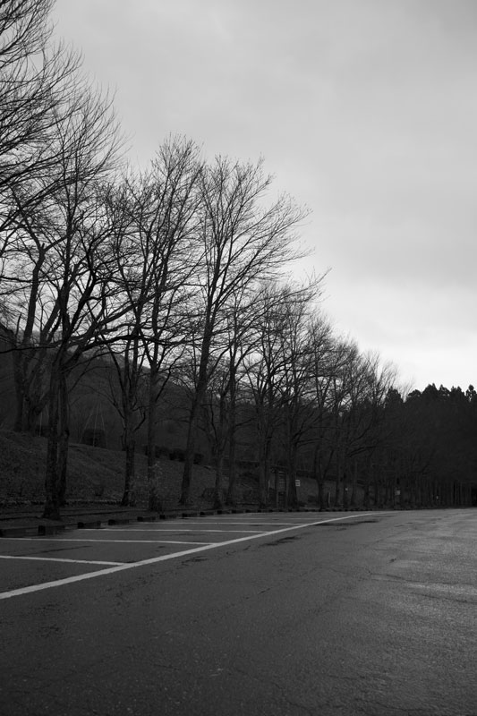 d0342652_2151043.jpg