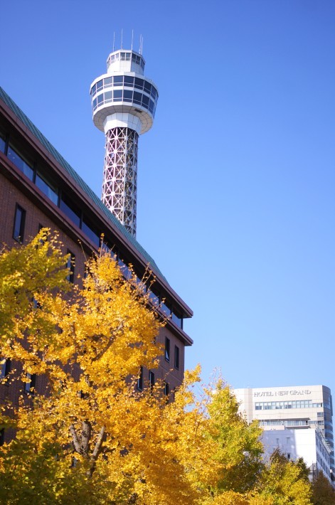 e0256058_17242780.jpg
