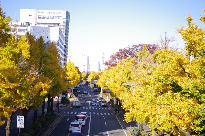 e0256058_17243641.jpg