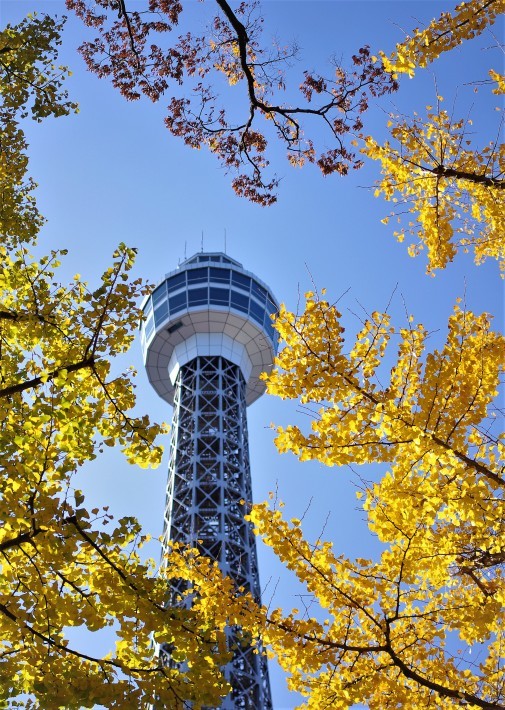 e0256058_17244680.jpg