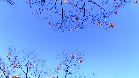 c0190960_22234749.jpg