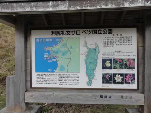 d0029363_8534893.jpg