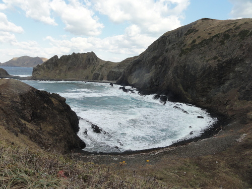 d0029363_8551438.jpg