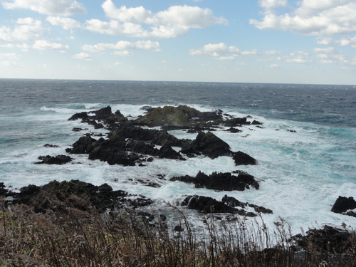 d0029363_8554397.jpg