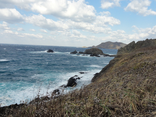 d0029363_8555556.jpg