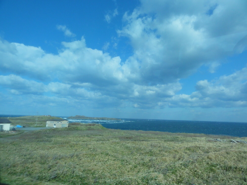 d0029363_8562539.jpg