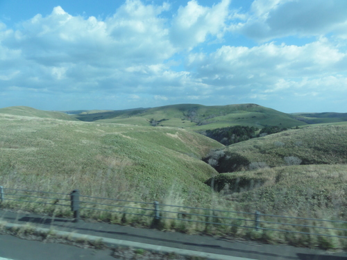 d0029363_856598.jpg