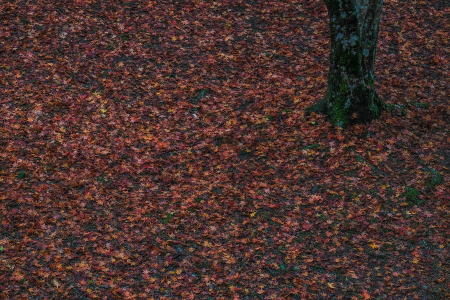 f0369264_104072.jpg
