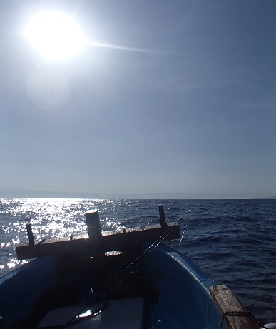 e0108765_2054421.jpg