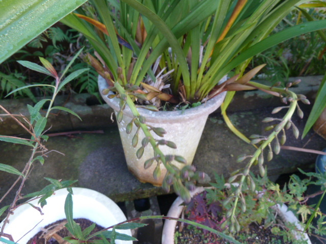 e0278968_21413380.jpg