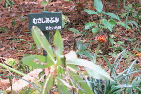 e0292172_20273613.jpg
