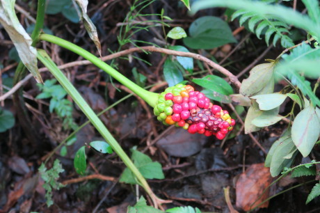 e0292172_20342012.jpg