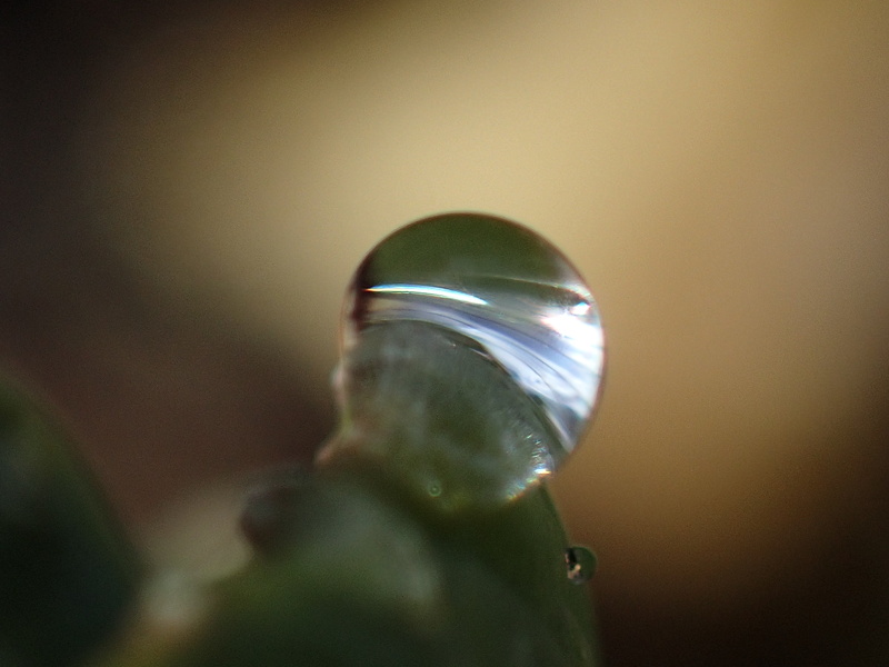 c0183777_13432197.jpg