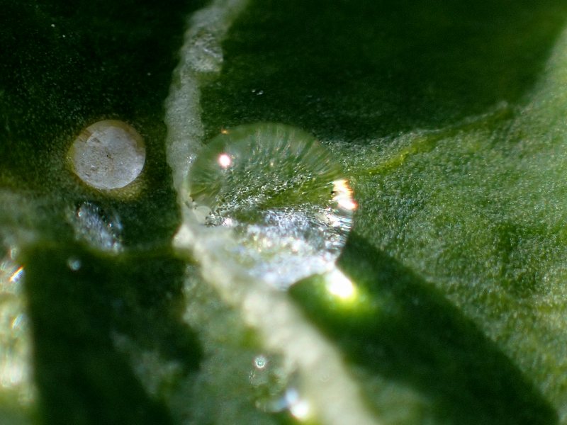 c0183777_1343512.jpg
