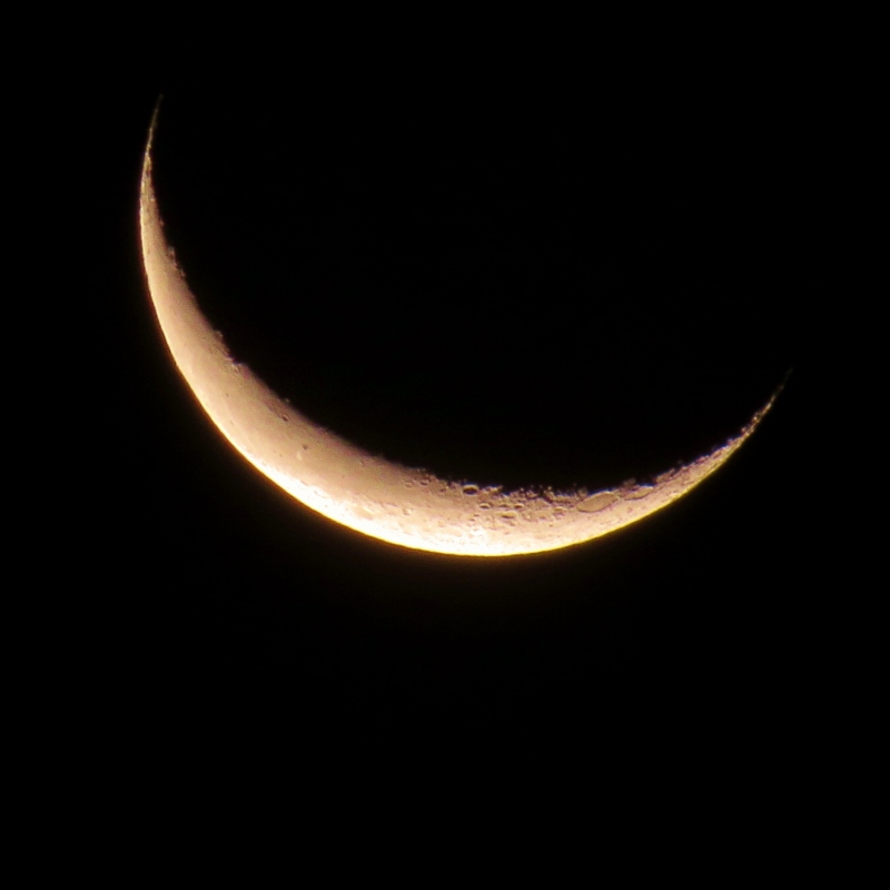 c0183777_856152.jpg