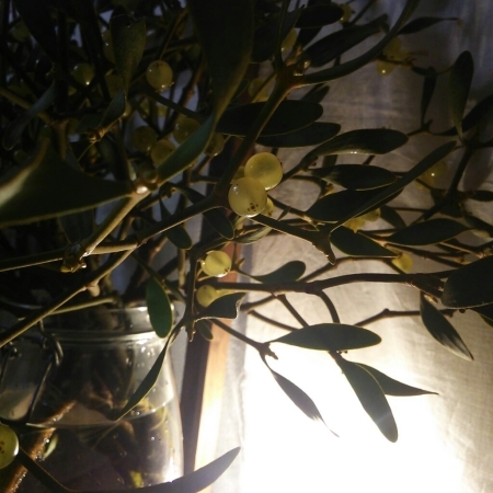 b0245883_06510753.jpg