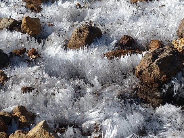 f0357487_22252399.jpg