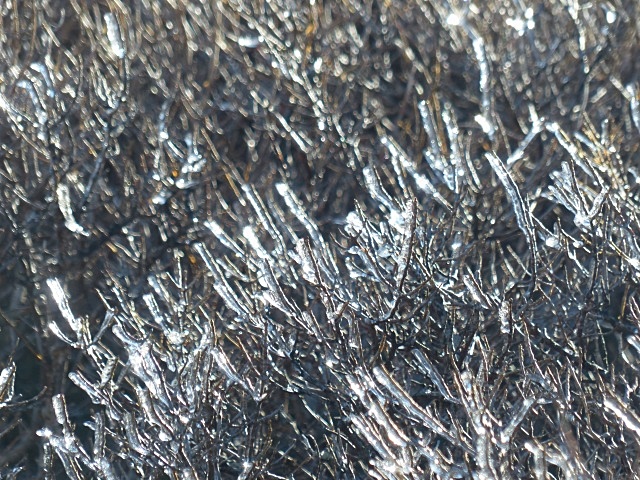 f0357487_22365880.jpg