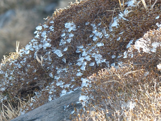 f0357487_22373988.jpg