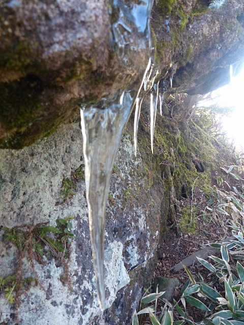 f0357487_2256464.jpg