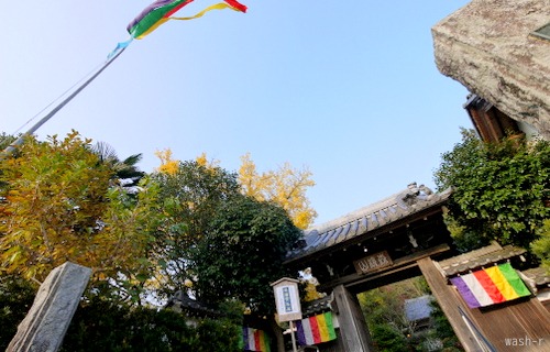 b0029488_0485229.jpg