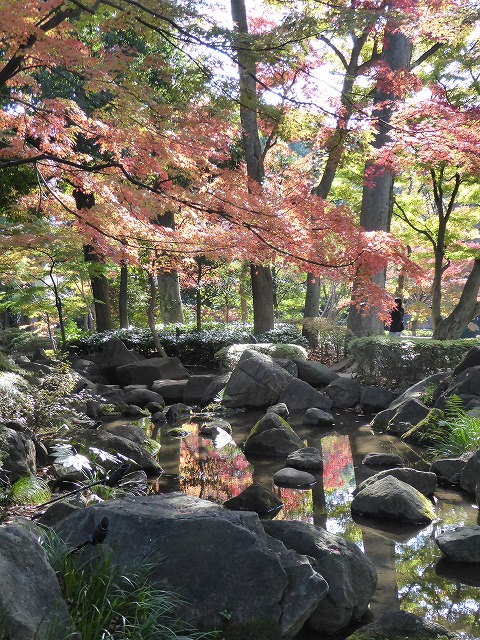 b0287088_19275595.jpg