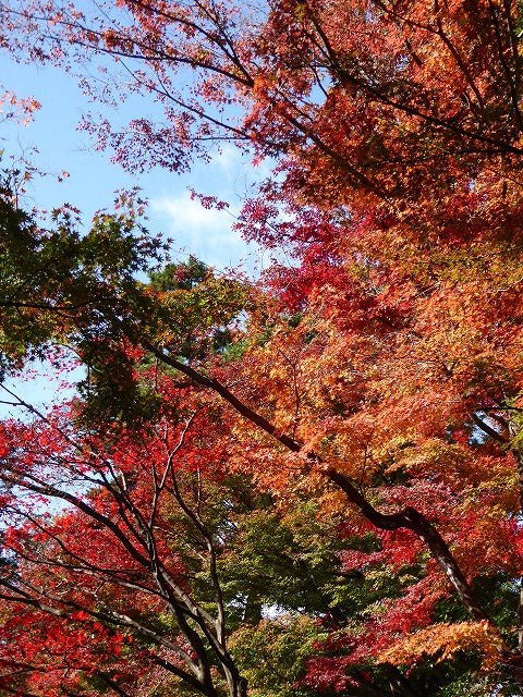 b0287088_19305565.jpg