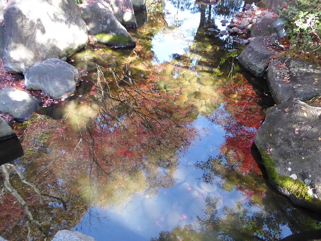 b0287088_19322487.jpg