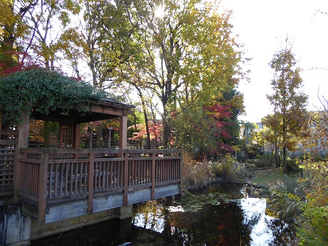 b0287088_2001254.jpg