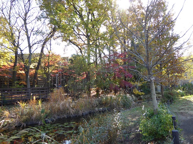 b0287088_201016.jpg