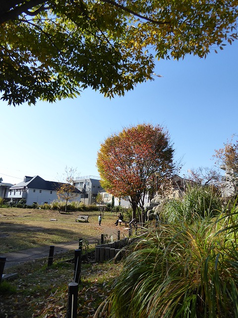 b0287088_2012844.jpg
