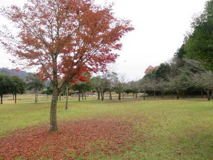 c0212604_18114051.jpg
