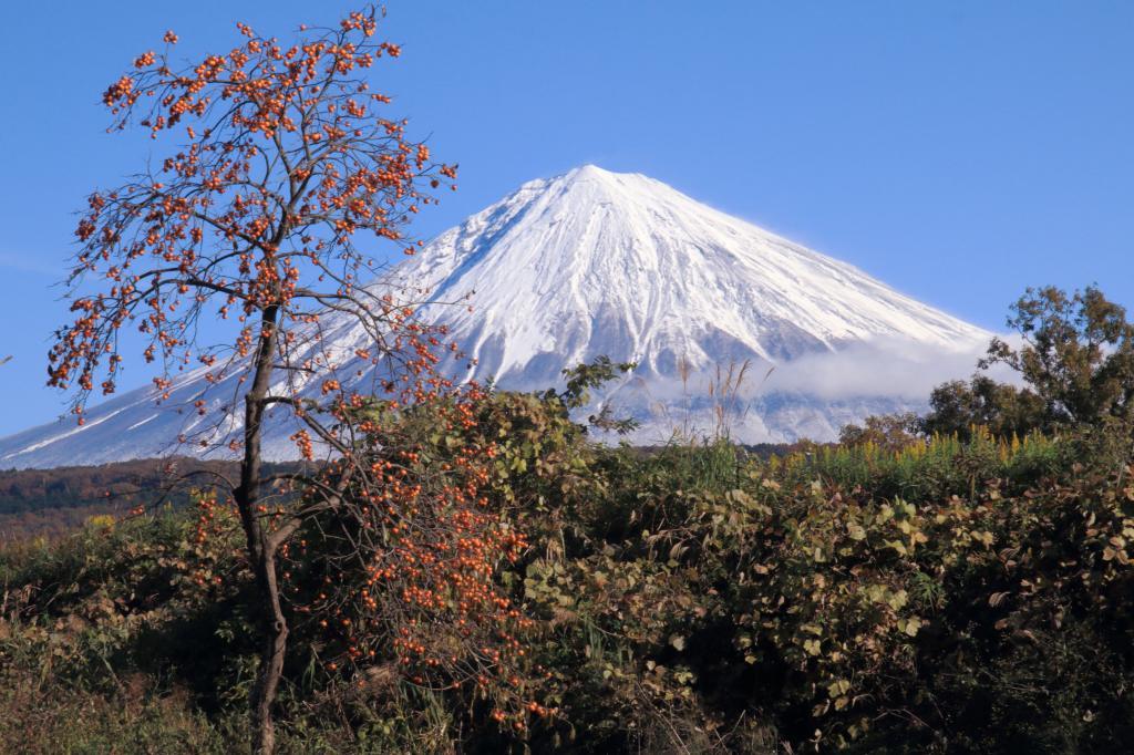 a0188405_11321716.jpg