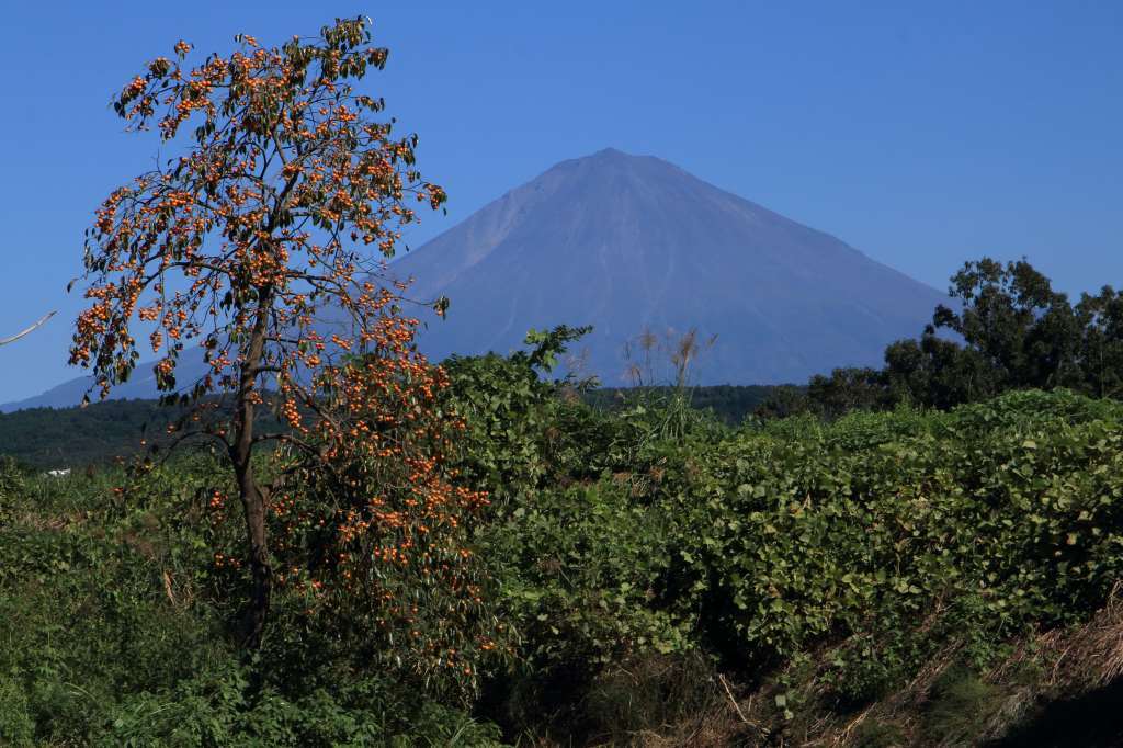 a0188405_11373536.jpg